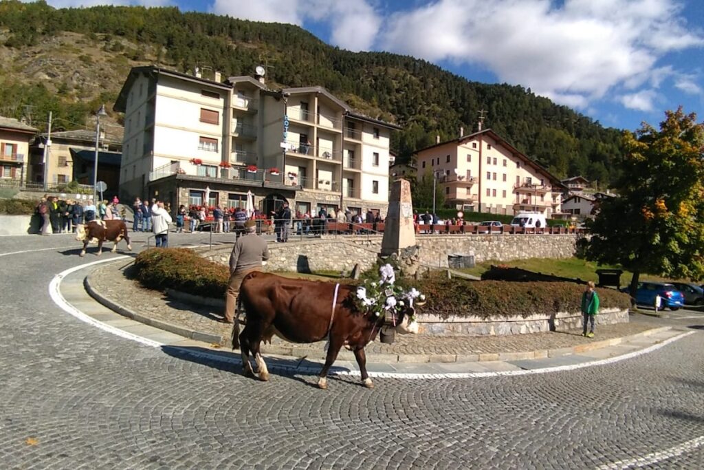 La Désarpa di Vertosan