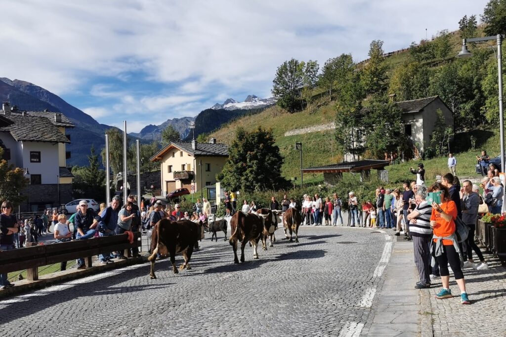 La Désarpa di Vertosan