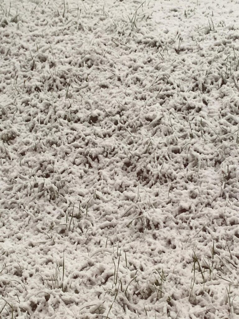 neve Cervinia 24 settembre 2025 - foto hotelmiravidi_e_montcervin