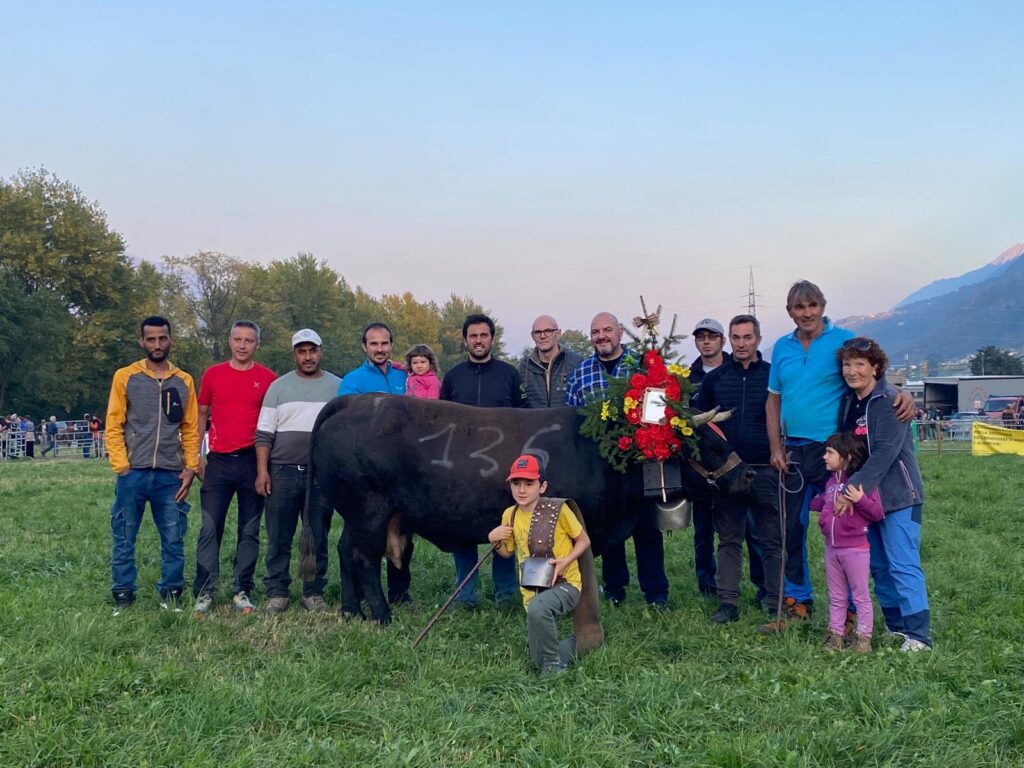 Coquine di Livio Pervier ha vinto in prima categoria: la madre della reina è Caprice, finalista un anno fa alla Croix-Noire