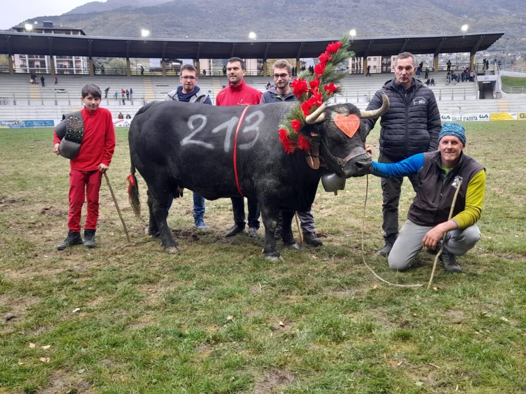 Bataille di Angelo Martignon, reina regionale in prima categoria nel 2022 e prima ancora reina del concorso del Deuxième Veau: oggi alla Croix-Noire ha inaugurato l’albo d’oro del concorso Communautés de Montagne