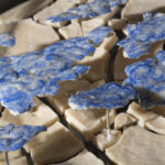 Chicco MARGAROLI Il latte della terra (foto S Venturini)