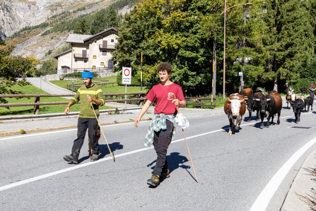 Desarpa Courmayeur Ph M Vignolini Ph M Vignolini
