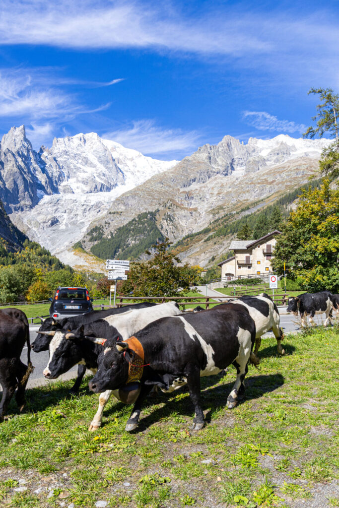 Desarpa Courmayeur Ph M Vignolini Ph M Vignolini