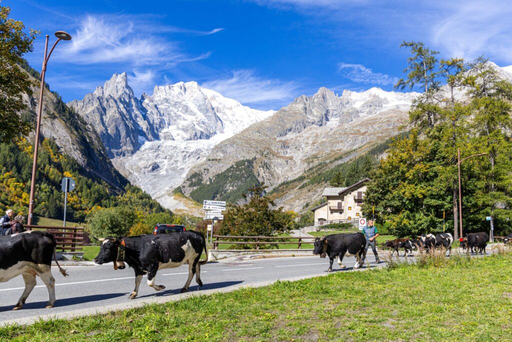 Desarpa Courmayeur Ph M Vignolini Ph M Vignolini