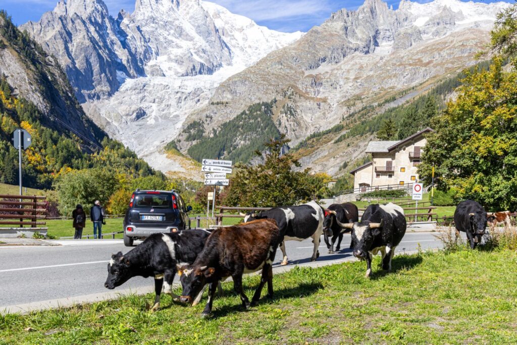 Desarpa Courmayeur Ph M Vignolini Ph M Vignolini