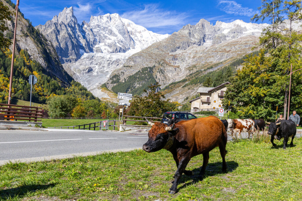 Desarpa Courmayeur Ph M Vignolini Ph M Vignolini