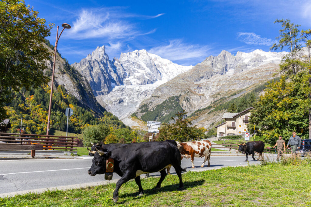 Desarpa Courmayeur Ph M Vignolini Ph M Vignolini