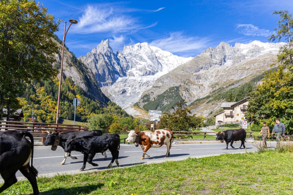 Desarpa Courmayeur Ph M Vignolini Ph M Vignolini