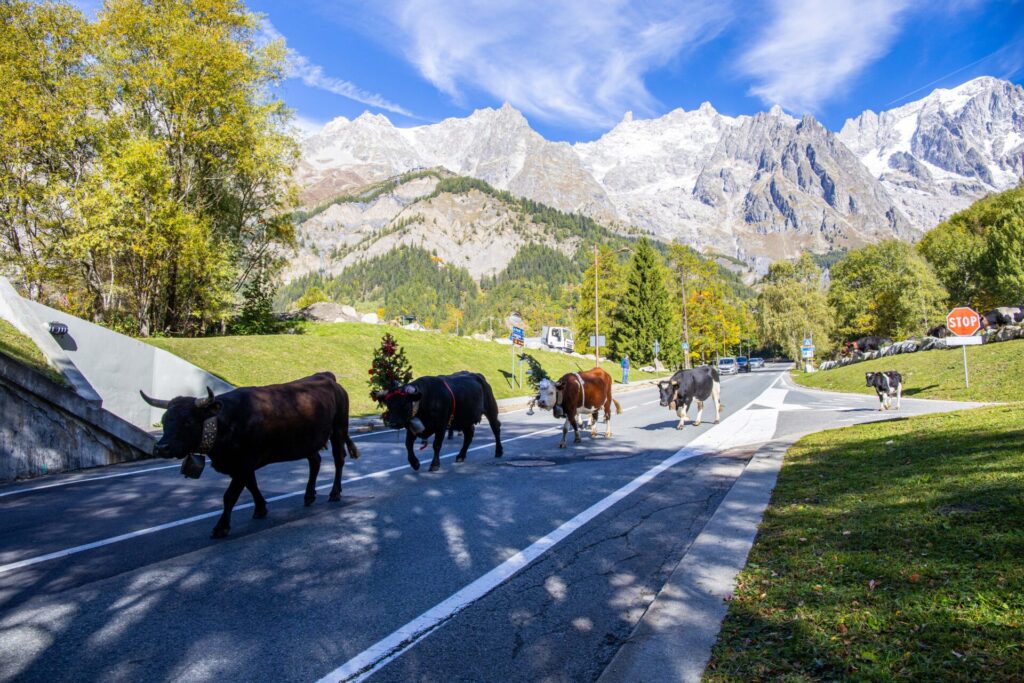 Desarpa Courmayeur Ph M Vignolini Ph M Vignolini