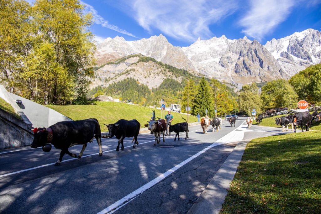 Desarpa Courmayeur Ph M Vignolini Ph M Vignolini