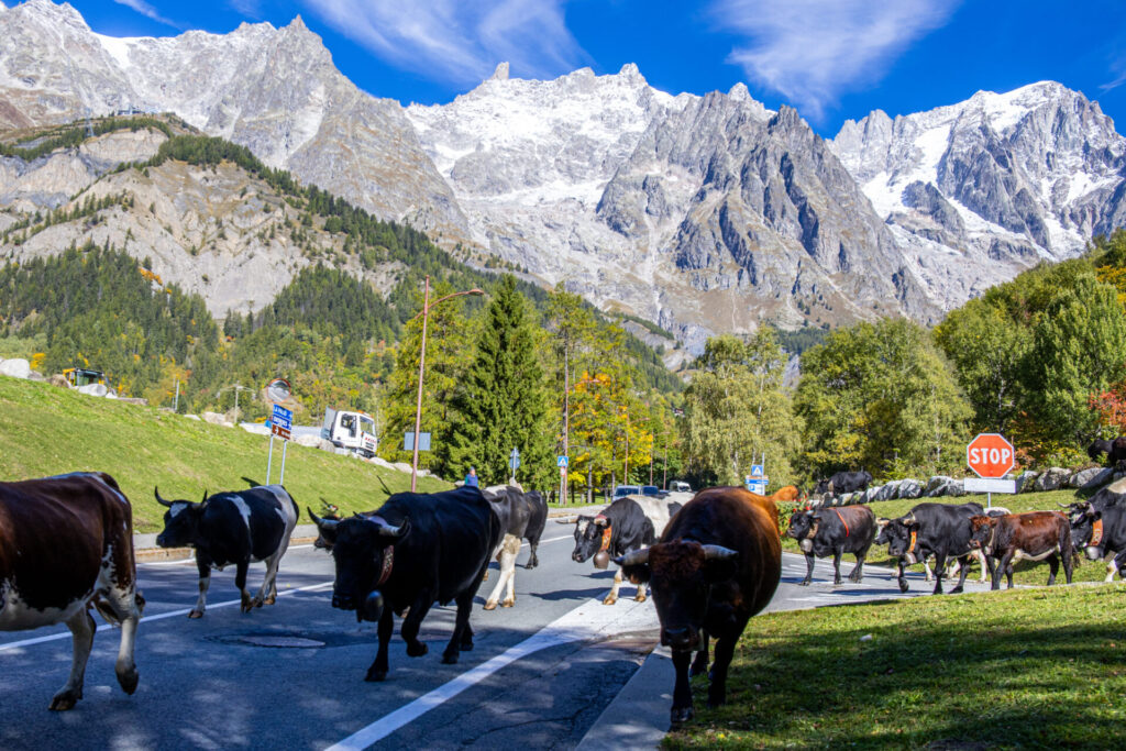 Desarpa Courmayeur Ph M Vignolini Ph M Vignolini