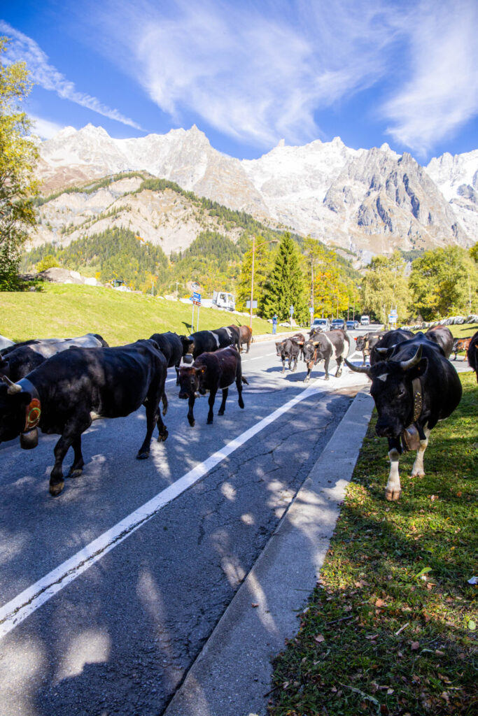 Desarpa Courmayeur Ph M Vignolini Ph M Vignolini
