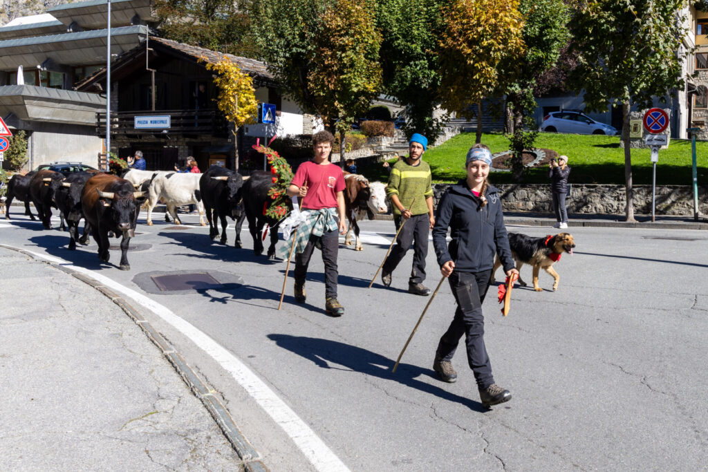 Desarpa Courmayeur Ph M Vignolini Ph M Vignolini