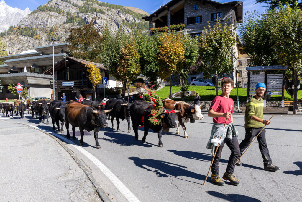 Desarpa Courmayeur Ph M Vignolini Ph M Vignolini