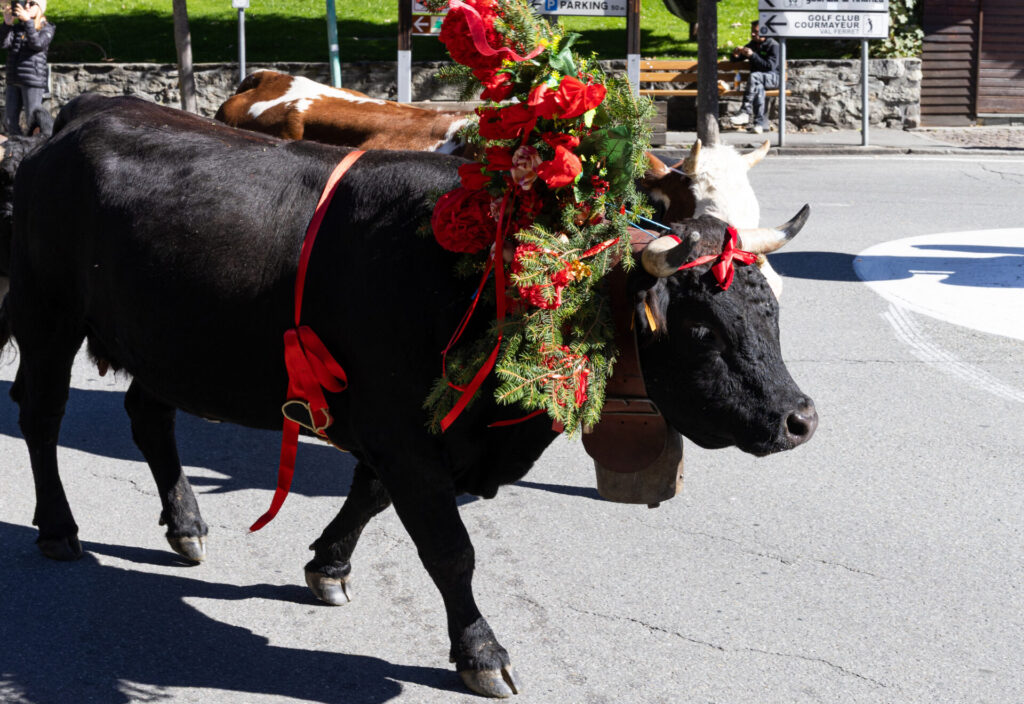 Desarpa Courmayeur Ph M Vignolini Ph M Vignolini