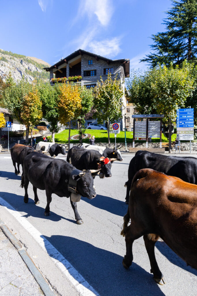 Desarpa Courmayeur Ph M Vignolini Ph M Vignolini