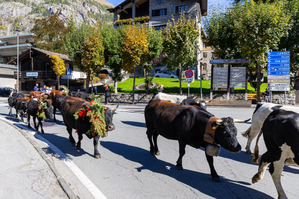 Desarpa Courmayeur Ph M Vignolini Ph M Vignolini