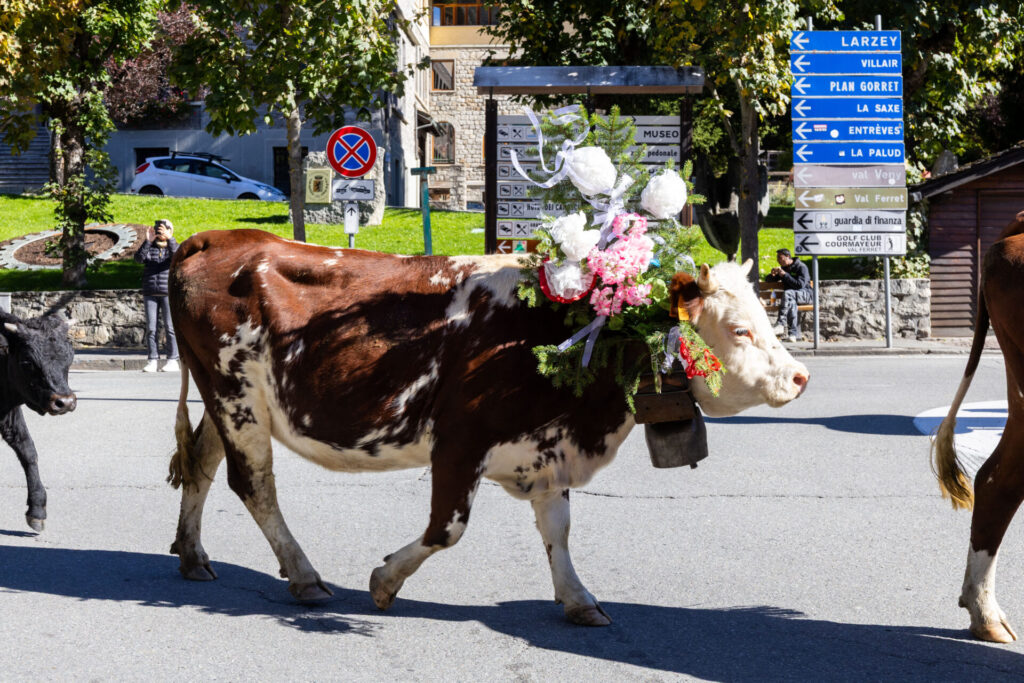 Desarpa Courmayeur Ph M Vignolini Ph M Vignolini