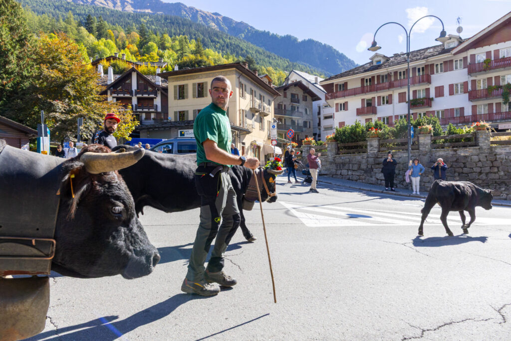 Desarpa Courmayeur Ph M Vignolini Ph M Vignolini