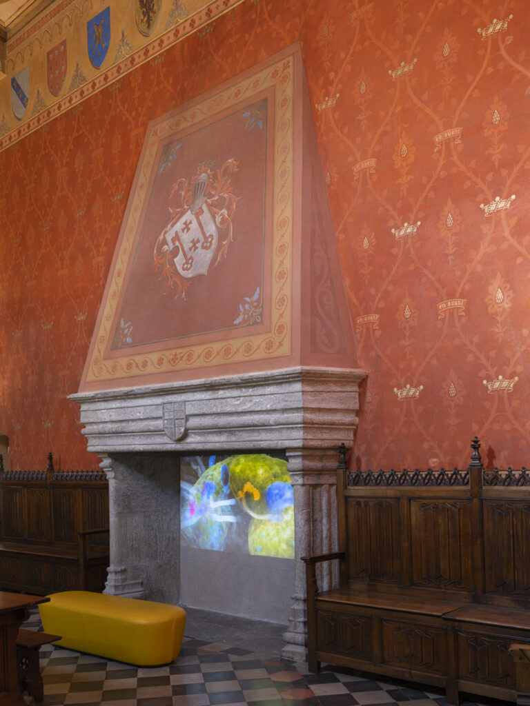 Installazione di andrea carlotto Museo Saint Pierre