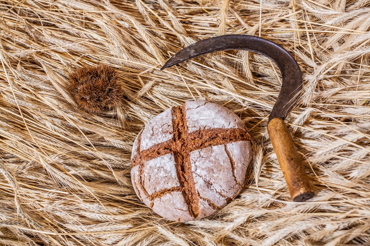 Lo Pan Ner concosrso i premiati