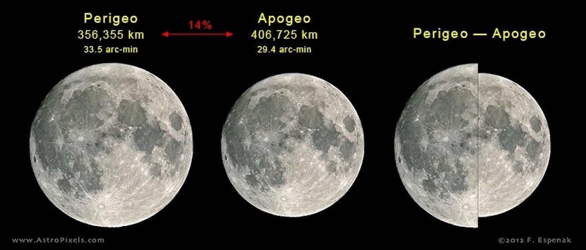 Confronto tra i diametri apparenti della Luna piena al perigeo, ovvero la Superluna (a sinistra), e della Luna all’apogeo. Credit: Fred Espenak www.AstroPixels.com, modificata per indicare i termini in italiano