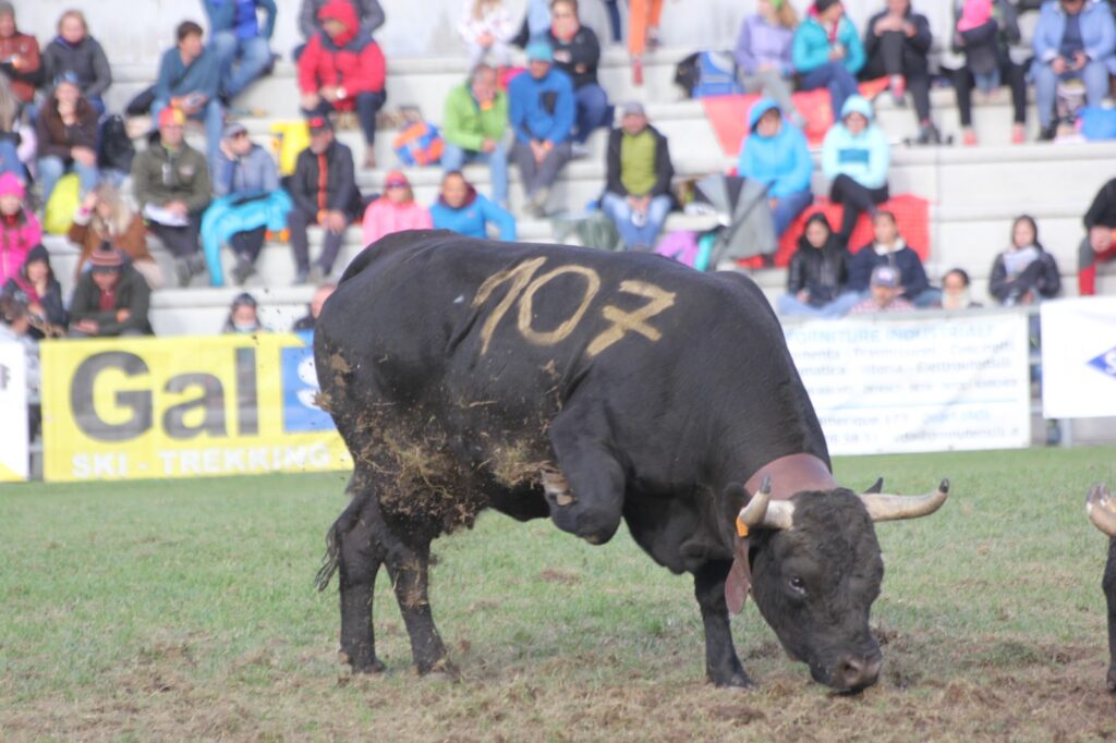 Falchetta in azione domenica alla Croix-Noire