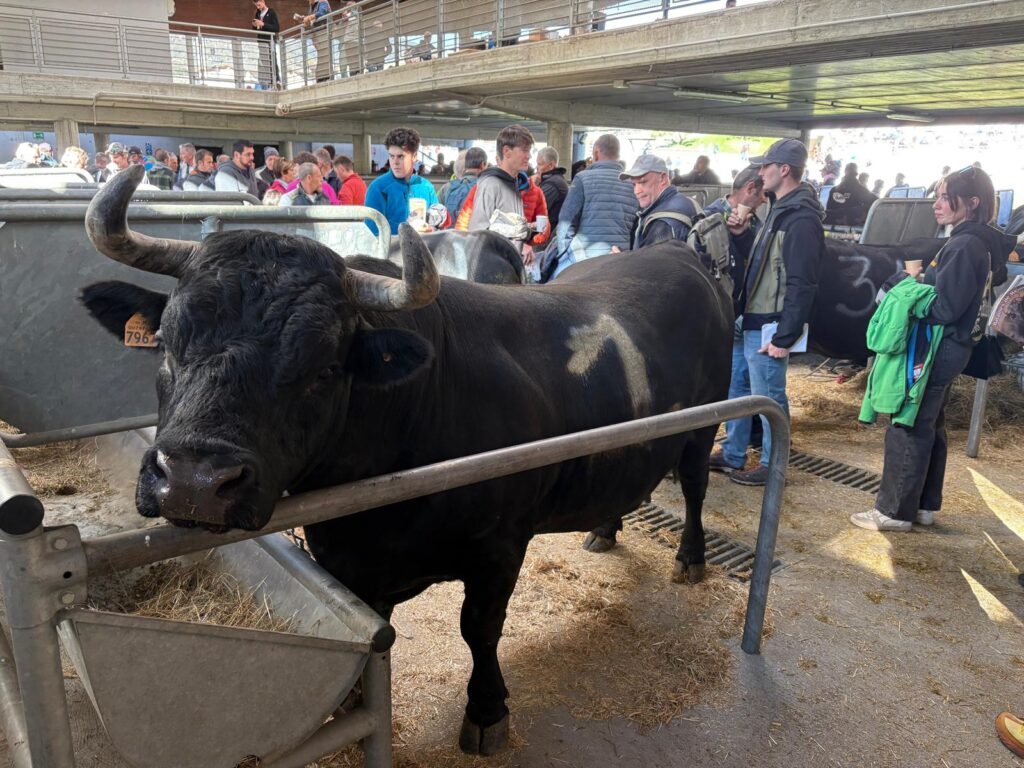 Suisse nel suo box alla Croix-Noire, prima della vittoria del suo secondo titolo consecutivo