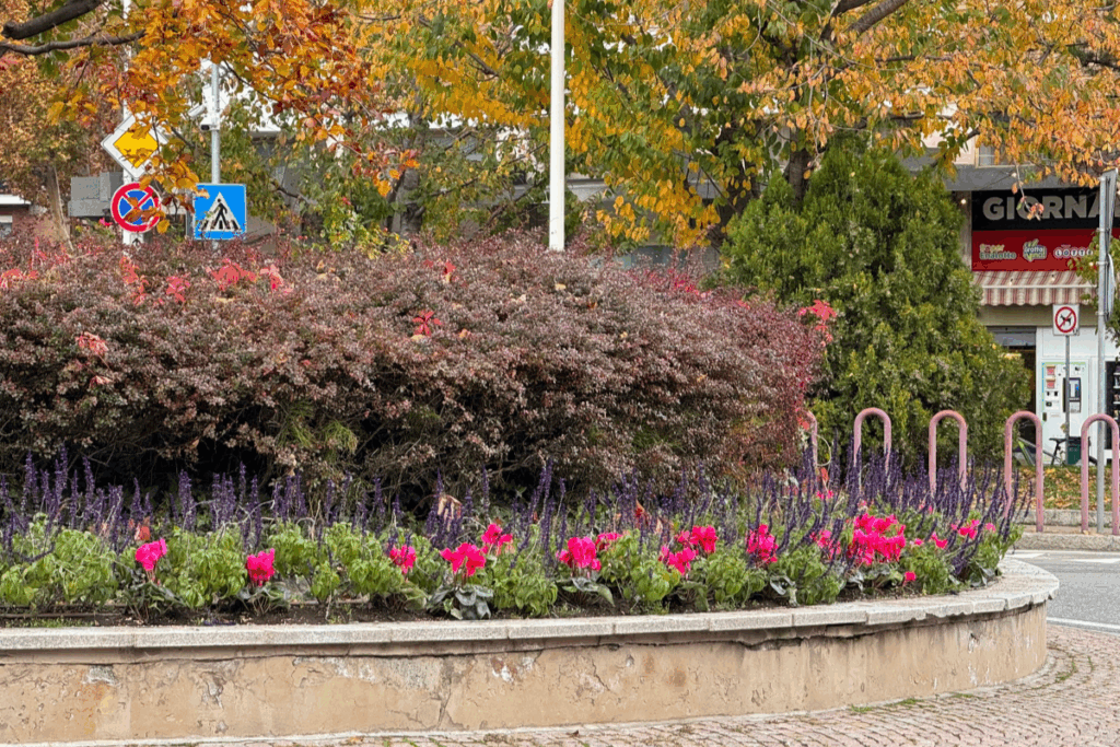 Verde pubblico Aosta
