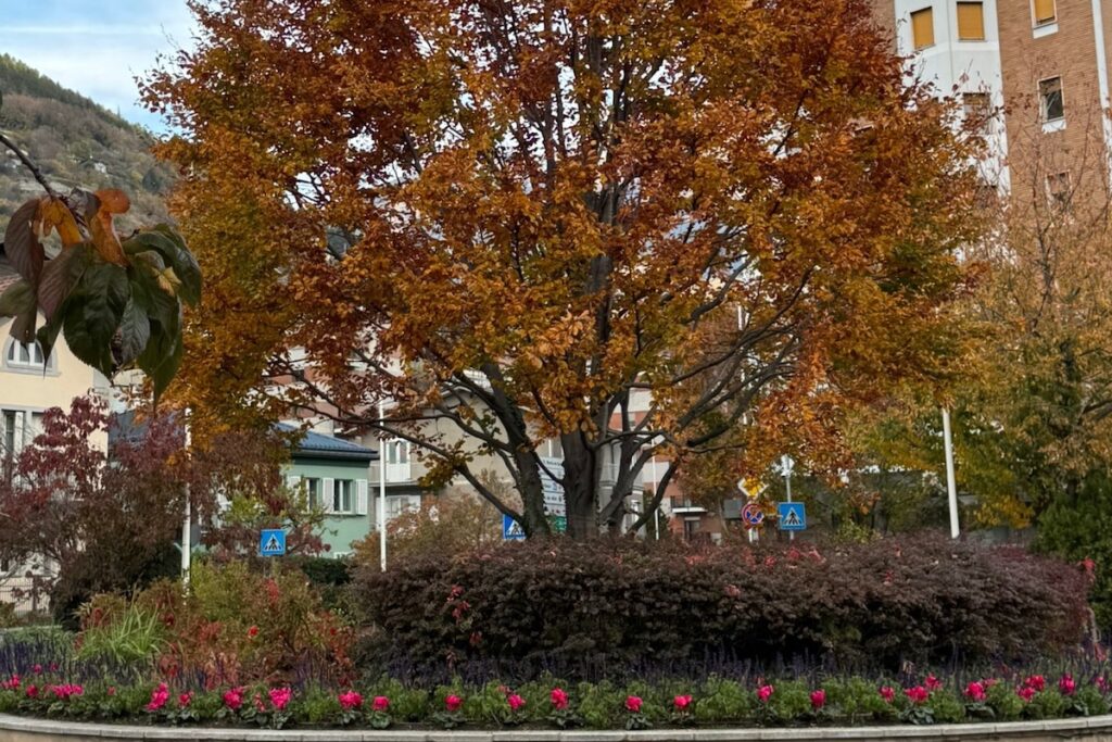 Verde pubblico Aosta