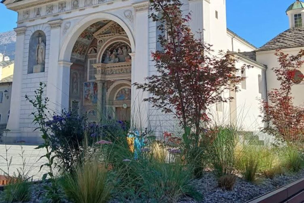 Acero giapponese - Verde pubblico Aosta