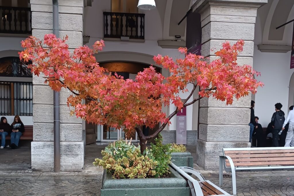 Verde pubblico Aosta