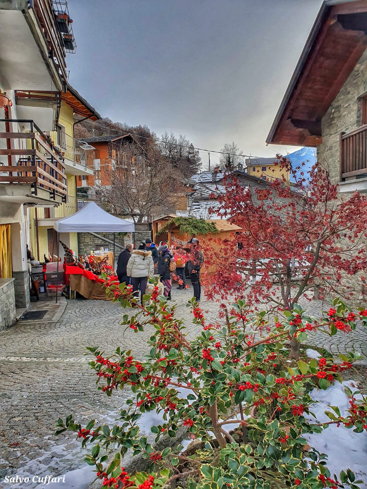 Festa del vischio foto