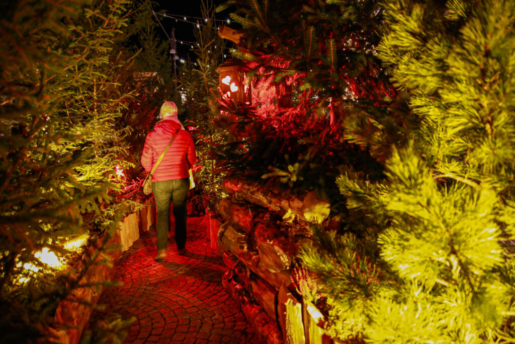 Inaugurazione Marché Vert Noel Ph Nicole Jocollé