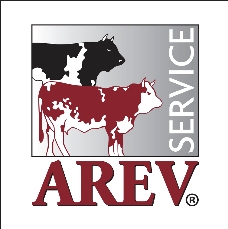 Carne valdostana arev