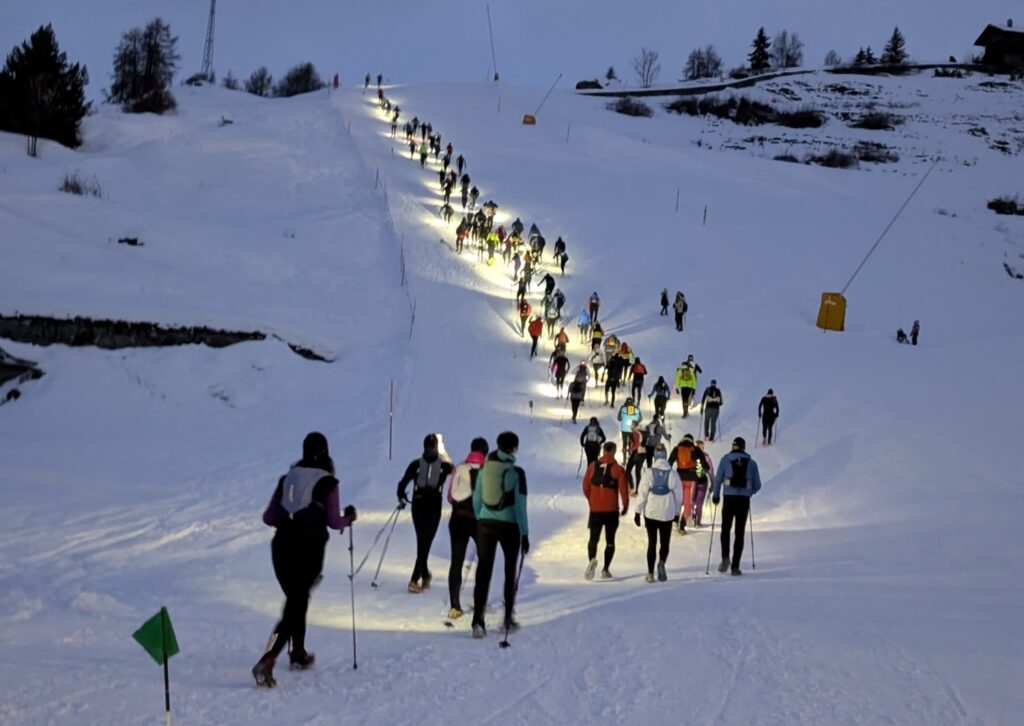 Snow Vertikal Chamois ()