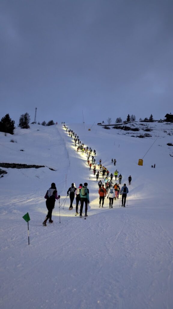 Snow Vertikal Chamois ()