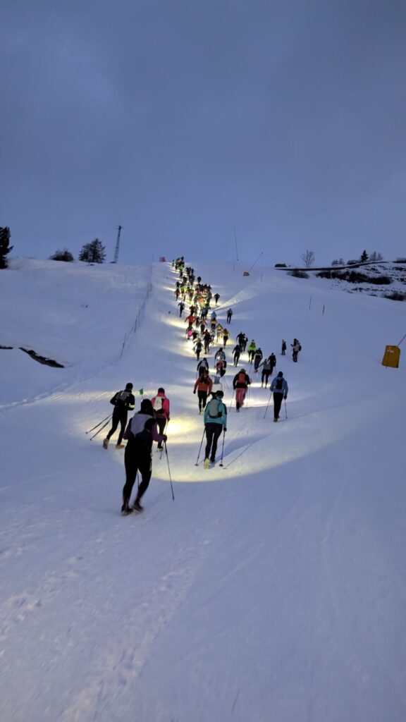 Snow Vertikal Chamois ()