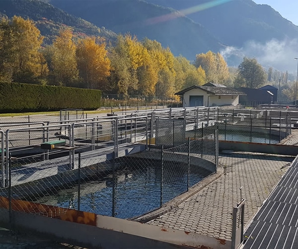 stabilimento ittico morgex vasche