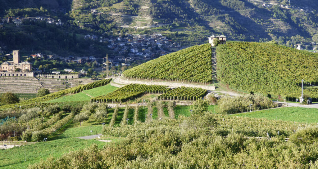 © Institut Agricole Régional