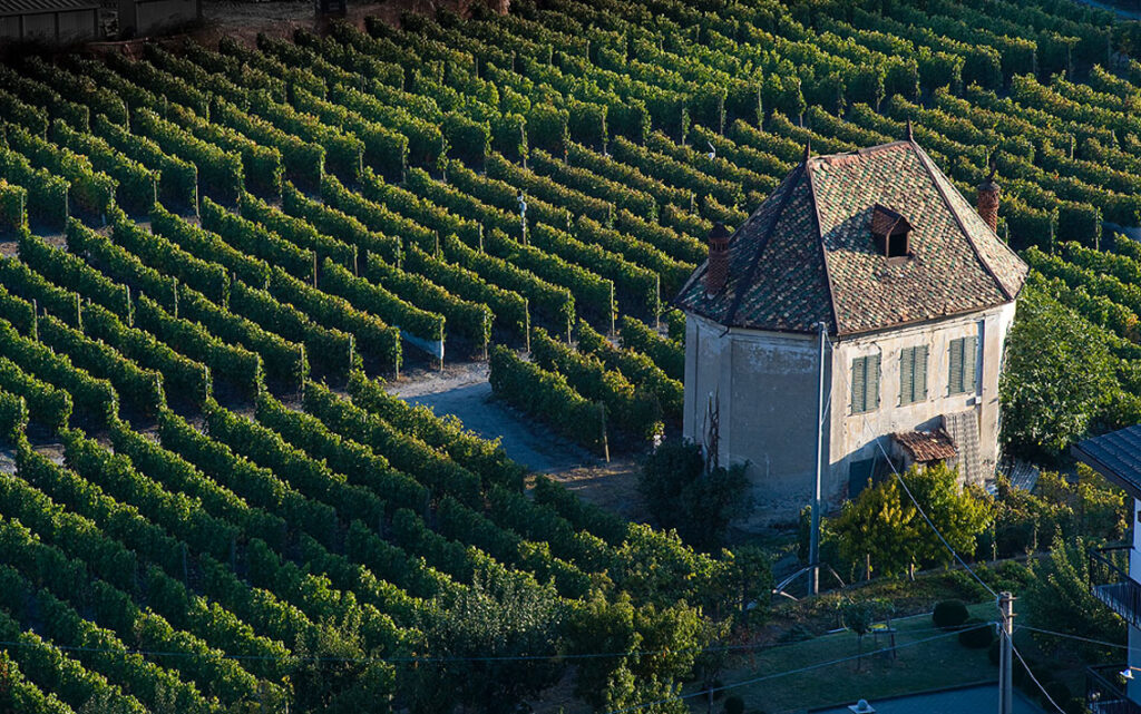 © Stefano Venturini