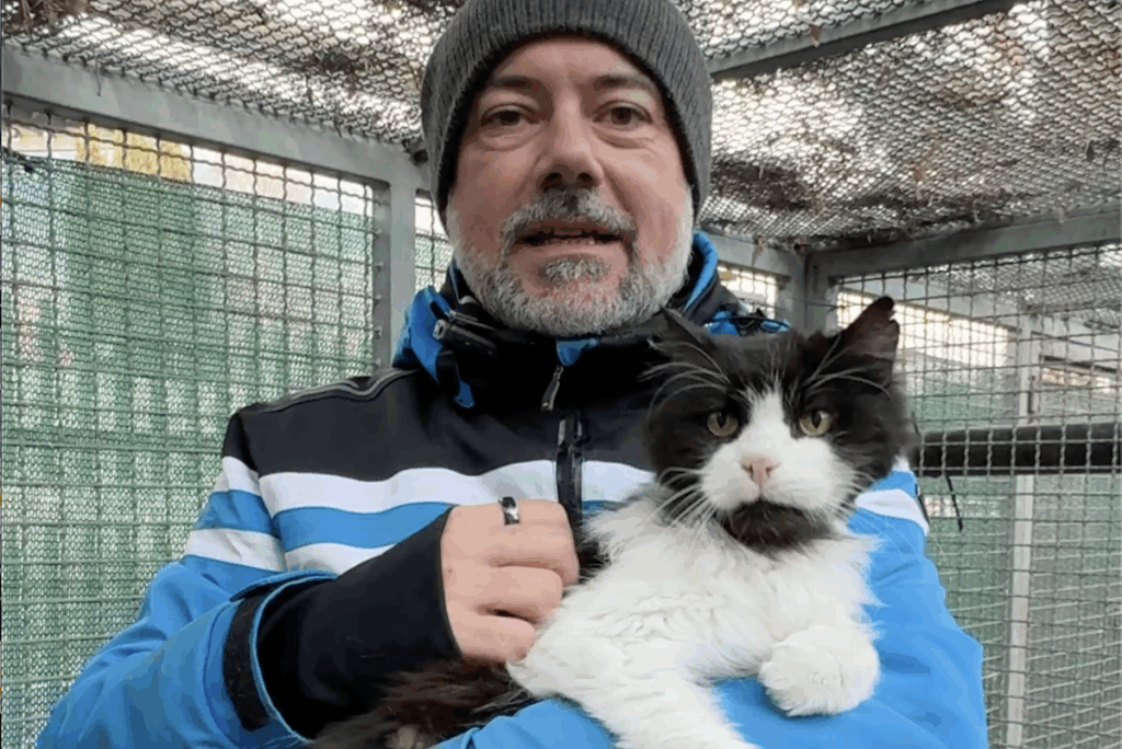 Adotta un amico - il gatto Dybala