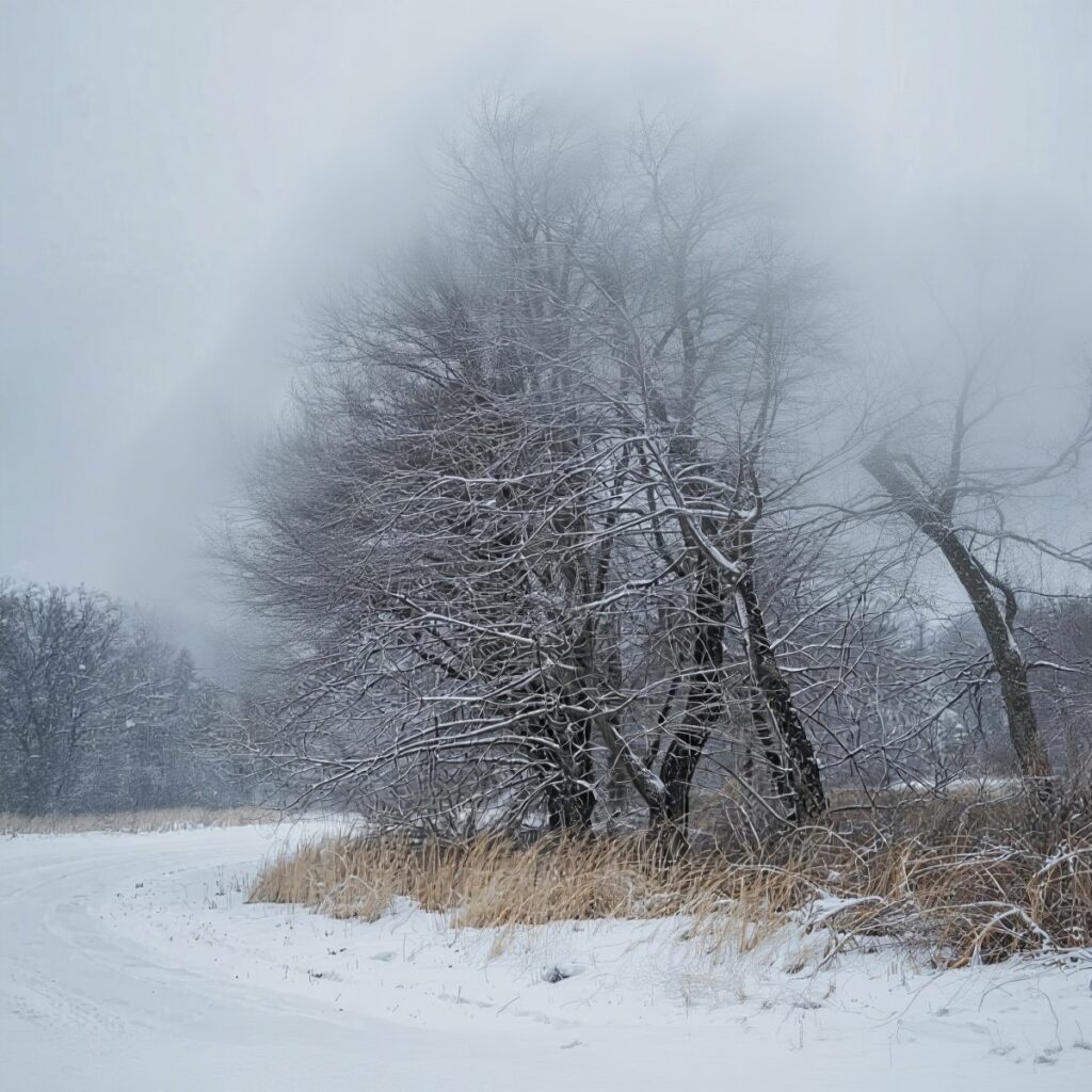 Bufera, vento forte - Immagine generata con l'AI