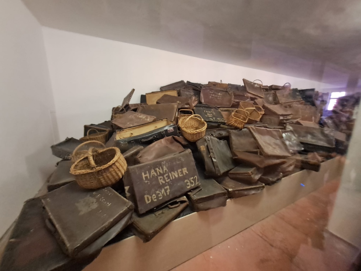 Il viaggio della memoria Auschwitz