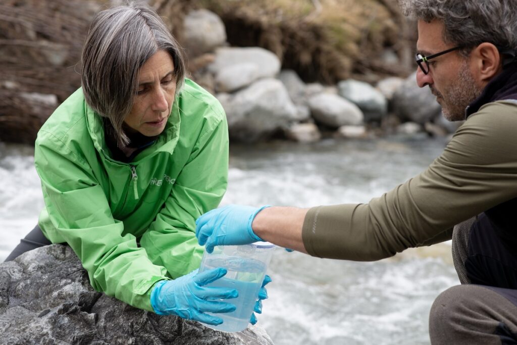 La raccolta dei campioni nelle acque del Lys da parte di Greenpeace - Foto Marco Graziani