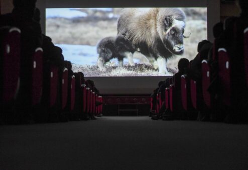 “Dominio e coesistenza”, svelato il tema del 29° Gran Paradiso Film Festival