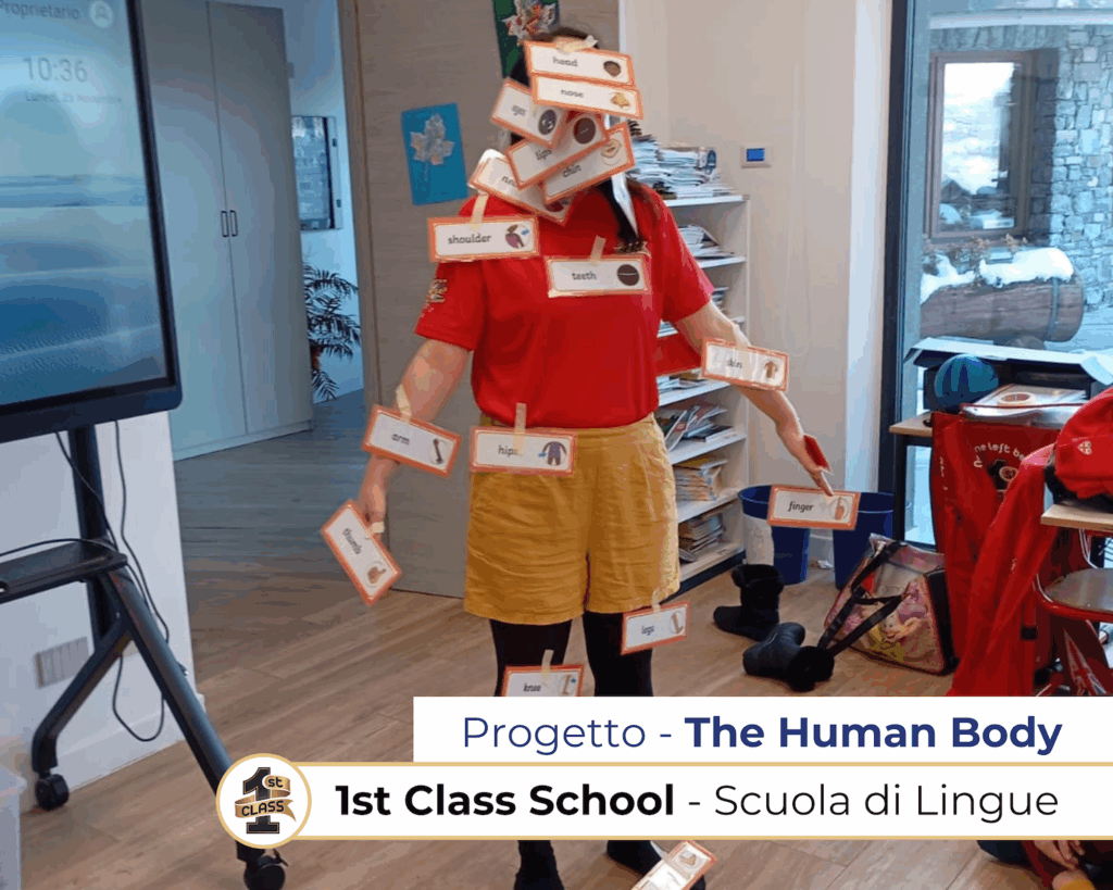 First Class english school