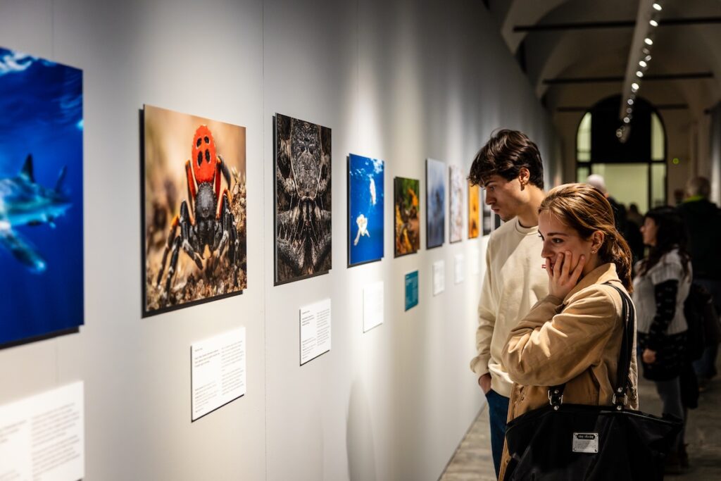 Forte di Bard Wildlife Photographer of the year