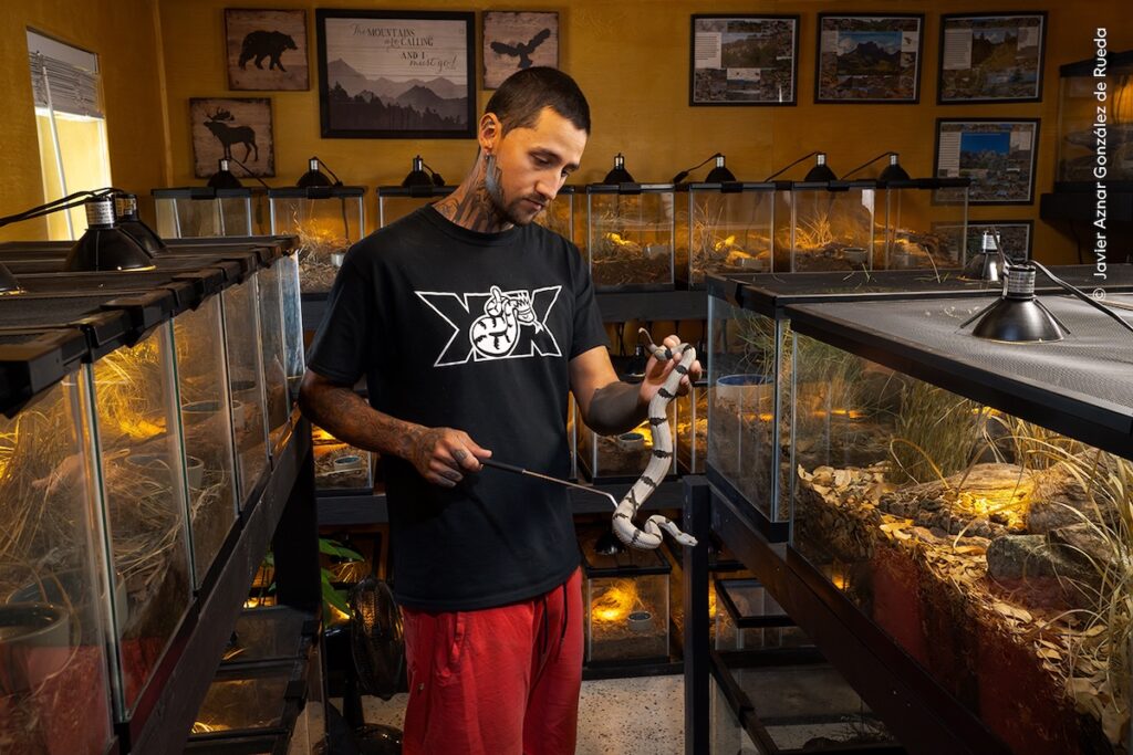 Javier Aznar González de Rueda courtesy Wildlife Photographer of the Year ()